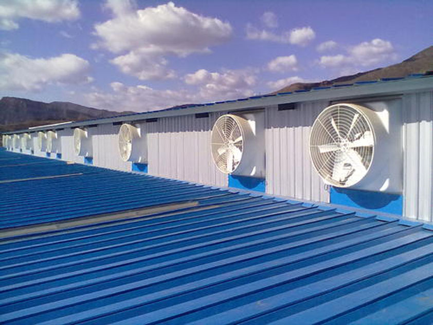 鐵皮廠房降溫這幾種解決方案你知道嗎？