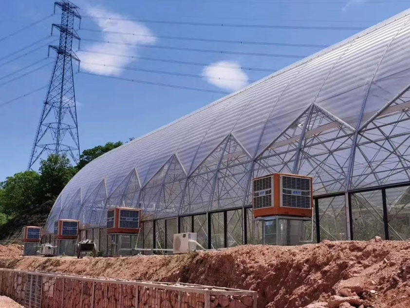 車間如何降溫？什么通風降溫設備節(jié)能省電