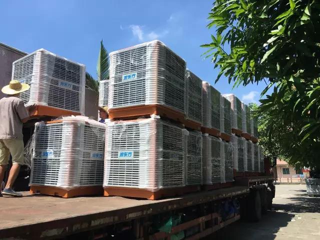 工廠車間快速降溫方法，你知道嗎？