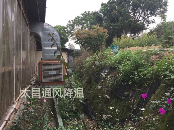 天氣太熱?環(huán)保空調(diào)為你的餐廳守護清涼