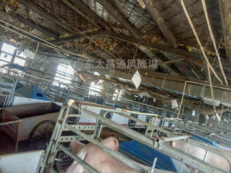 養(yǎng)殖場通風(fēng)降溫常用設(shè)備3